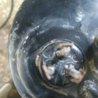 سیم پیچی موتور اسپیلت وتعمیرات یخچال وفریزر