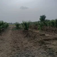 زمین باغچه ۵۰۰متری در خیابان ۱۲متری|فروش زمین و ملک کلنگی|محمدشهر, عباس آباد|دیوار