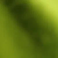 مدارک گمشده
