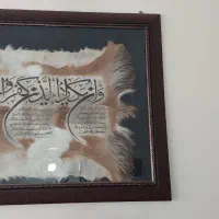 ونیکاد پوست بزرگ