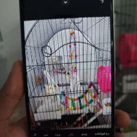 گوشی شیائومی ردمیA5|موبایل|قم, پردیسان|دیوار