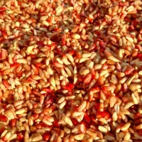 ناردونه امسال ترش  مال منطقه سردسیر .کیلو ۳۲۰۰۰۰|خوردنی و آشامیدنی|دوگنبدان, |دیوار