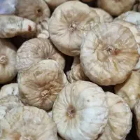 فیلم انجیل و زی‌تون هردو 180 هست