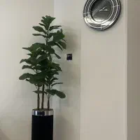 نیروی خدماتی
