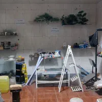 فروش کلیه وسایل و تجهیزات و ماهی آکواریوم|ماهی|اسلامآباد غرب, |دیوار