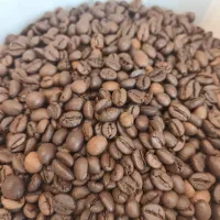 واردات و پخش قهوه جزیره روستری قهوه تخصصی