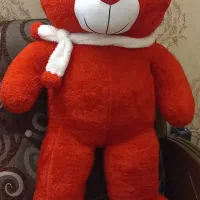 خرس قرمز|اسباب‌بازی بچه|مشهد, چهارچشمه|دیوار