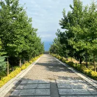 فروش یازده هزارمتر باغ ویلا(سندشش دانگ)