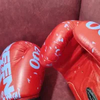 دست کش بوکس|تجهیزات ورزشی|تربتحیدریه, منصوریه|دیوار