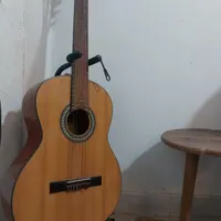 گیتار حرفه ای