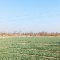 زمین-کشاورزی-3000-متر