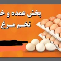 پخش عمده تخم مرغ فارس