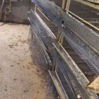 فروش قفس کبک و بلدرچین|لوازم جانبی حیوانات|اشکذر, |دیوار