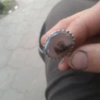 انگشتر شجر