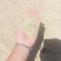عدس و نخود درجه یک امسالی قیمت مناسب