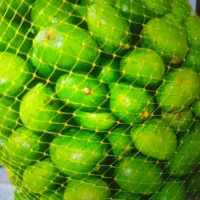 انبه بدون هسته