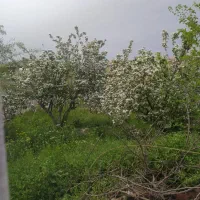 منزل مسکونی