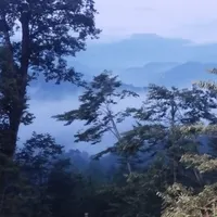 اجاره کلبه جنگلی دلنشین درلفور