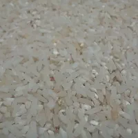 برنج شمال|خوردنی و آشامیدنی|الوند, |دیوار