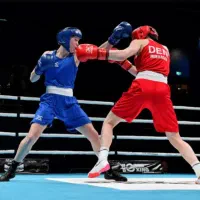 درخواست مربی بوکس