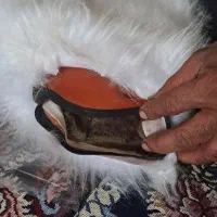 دستکش خزدار|لباس|قم, ولیعصر|دیوار