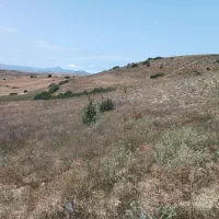 فروش زمین|فروش زمین و ملک کلنگی|دیلمان, |دیوار