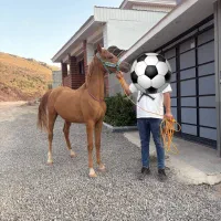 فروش کره ۲۴ ماهه عرب مصری