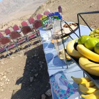 تشریفات مجالس