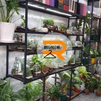 دکور قوطی + چوب روس