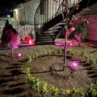 فضای سبز ( روف گاردن  باغچه  مجتمع )