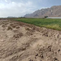 فروش اب و زمین منطقه گزک(راین)