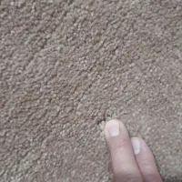 موکت