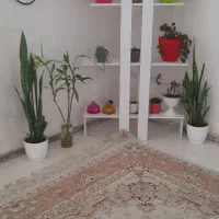 استند گلدان