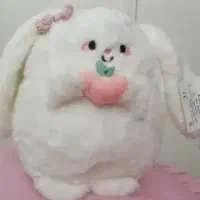 عروسک|اسباببازی بچه|فردیس, فردیس|دیوار