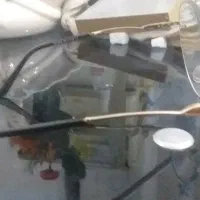 عینک طبی زنانه|آرایشی، بهداشتی، درمانی|سهند, |دیوار