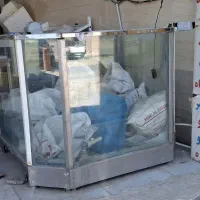 اکواریوم ماهی قزل الا زنده.