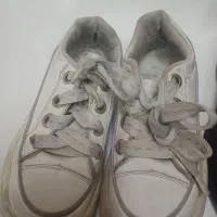 پوتین|کیف، کفش، کمربند|قیامدشت - خاورشهر, |دیوار