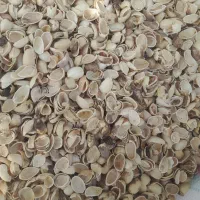 خرید و فروش پوست پسته