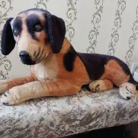 اسباب بازی موزیکال