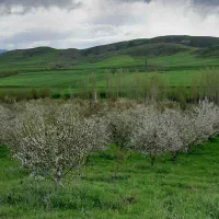 استخدام کارگر و نگهبان باغ|استخدام سرایداری و نظافت|اهر, |دیوار