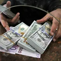 کلکسیون دی ن ار دل ار