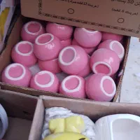 گلدان کاکتوسی سرامیکی کاملا نو تعداد عمده یکجا