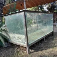 فروش آکواریوم|ماهی|چالوس, |دیوار