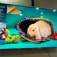 تلویزیونQLED و UHD هایسنس در تمام سایز ها|تلویزیون و پروژکتور|اصفهان, خرم|دیوار