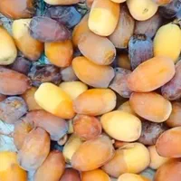 رطب و خرما درجه یک|خوردنی و آشامیدنی|اصفهان, ارغوانیه|دیوار