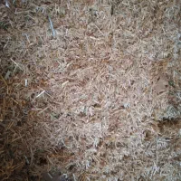 کاه گندم و مخلوط علف و یونجه