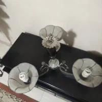 2عددلوسترصحیح سالم