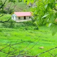 ویلاباغ بنا ۱۰۰ زمین ۶۰۰|فروش خانه و ویلا|تالش, تالش|دیوار