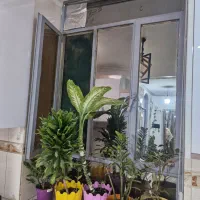 پنجره اهنی|مصالح و تجهیزات ساختمان|بندرعباس, |دیوار