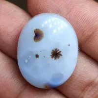 سنگ شجر|جواهرات|فردوس (خراسان), |دیوار